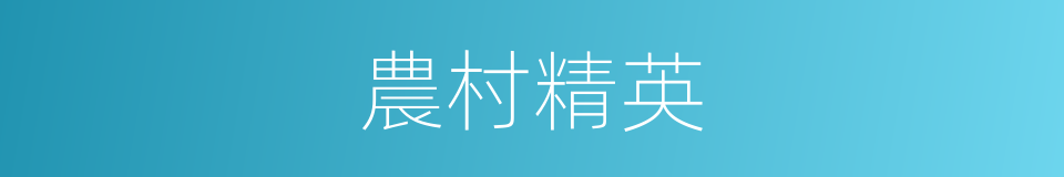 農村精英的同義詞