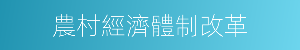 農村經濟體制改革的同義詞