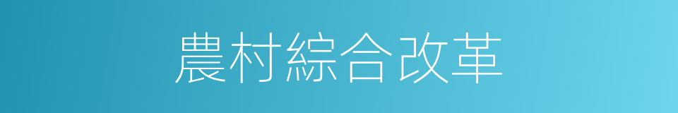 農村綜合改革的同義詞