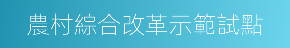 農村綜合改革示範試點的同義詞