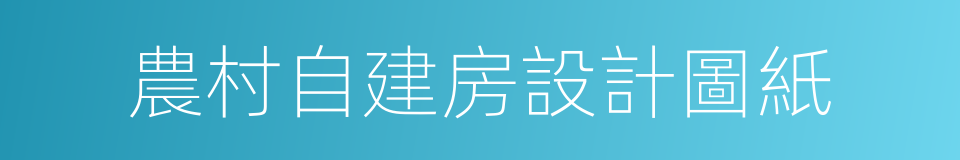 農村自建房設計圖紙的同義詞