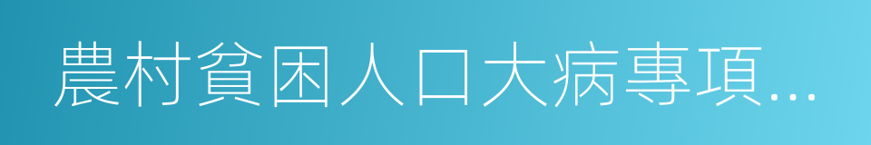 農村貧困人口大病專項救治工作方案的同義詞