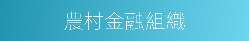農村金融組織的同義詞