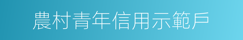 農村青年信用示範戶的同義詞