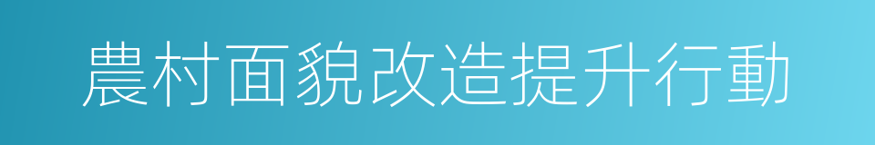 農村面貌改造提升行動的同義詞