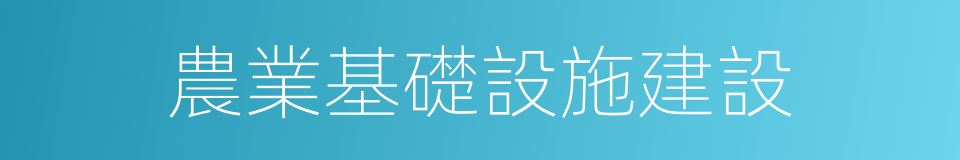 農業基礎設施建設的同義詞