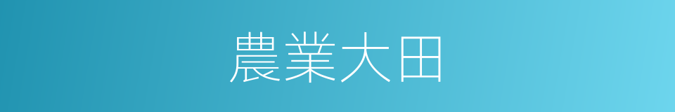 農業大田的同義詞