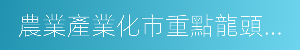 農業產業化市重點龍頭企業的同義詞