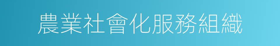 農業社會化服務組織的同義詞