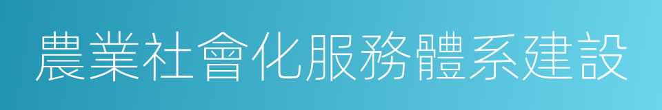 農業社會化服務體系建設的同義詞