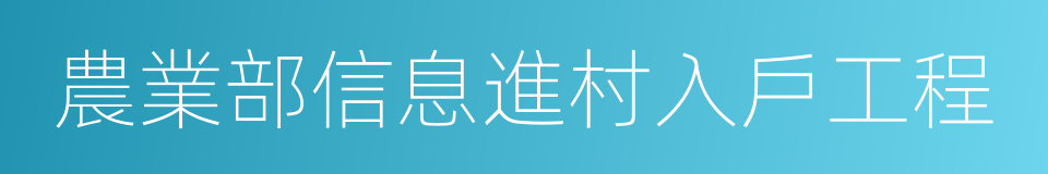 農業部信息進村入戶工程的同義詞