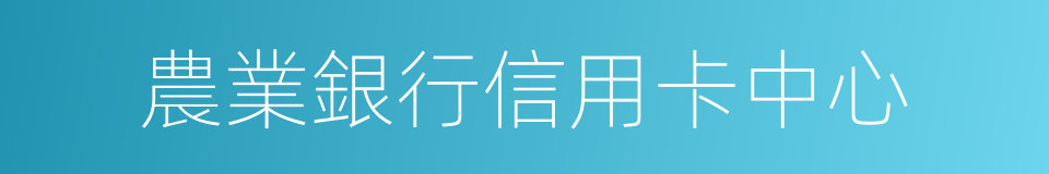 農業銀行信用卡中心的同義詞