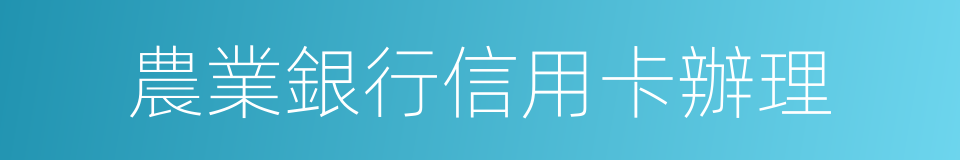 農業銀行信用卡辦理的同義詞