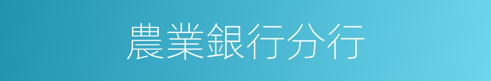 農業銀行分行的同義詞