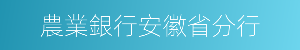 農業銀行安徽省分行的同義詞