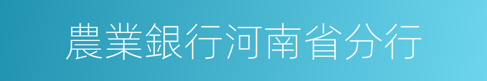 農業銀行河南省分行的同義詞