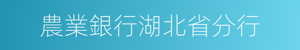 農業銀行湖北省分行的同義詞