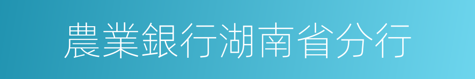 農業銀行湖南省分行的同義詞