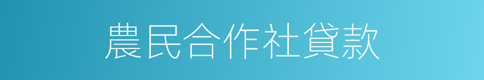 農民合作社貸款的同義詞