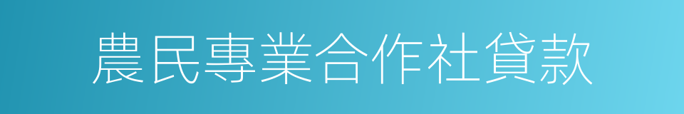 農民專業合作社貸款的同義詞