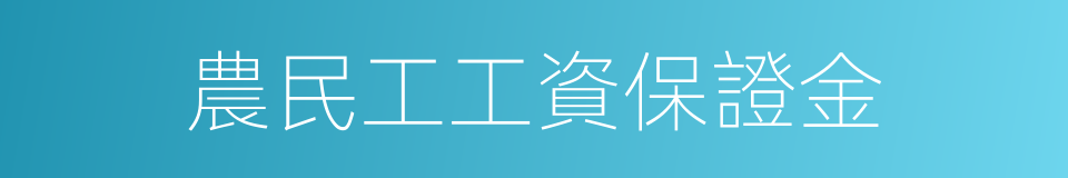 農民工工資保證金的同義詞
