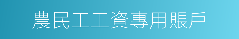農民工工資專用賬戶的同義詞
