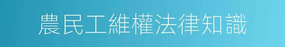 農民工維權法律知識的同義詞