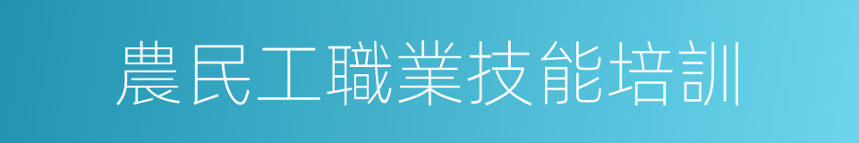 農民工職業技能培訓的同義詞