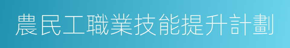 農民工職業技能提升計劃的同義詞