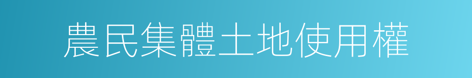 農民集體土地使用權的同義詞