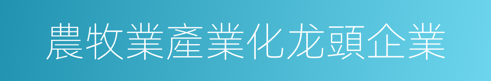 農牧業產業化龙頭企業的同義詞