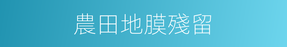 農田地膜殘留的同義詞