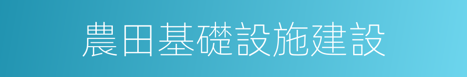 農田基礎設施建設的同義詞