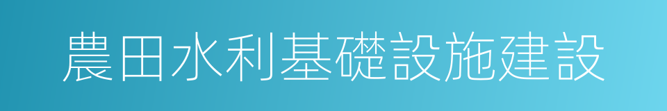 農田水利基礎設施建設的同義詞