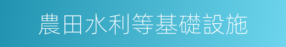 農田水利等基礎設施的同義詞