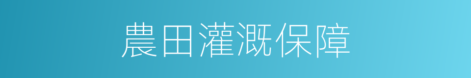 農田灌溉保障的同義詞