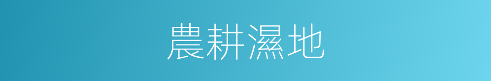 農耕濕地的同義詞