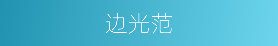 边光范的同义词