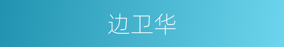 边卫华的同义词