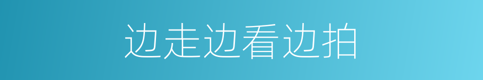 边走边看边拍的同义词