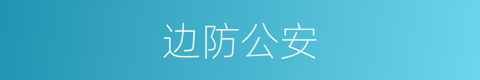 边防公安的同义词