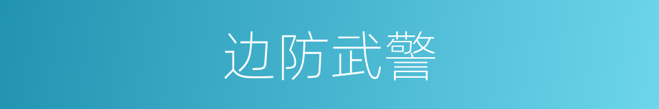 边防武警的同义词