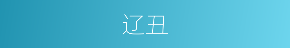 辽丑的意思