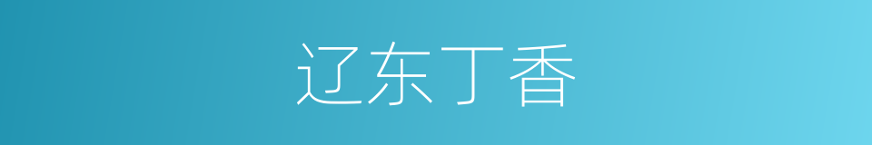 辽东丁香的同义词