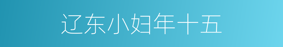 辽东小妇年十五的同义词