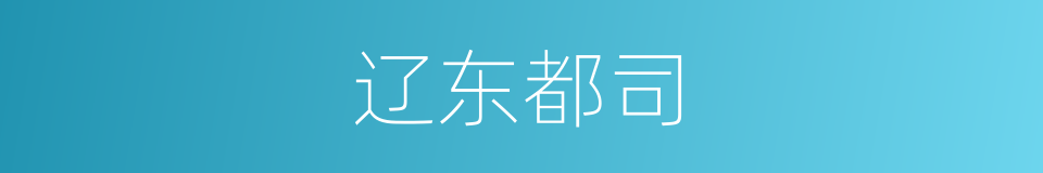 辽东都司的同义词