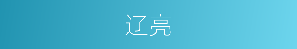 辽亮的意思