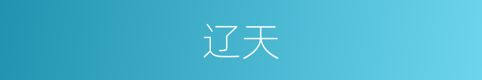 辽天的意思
