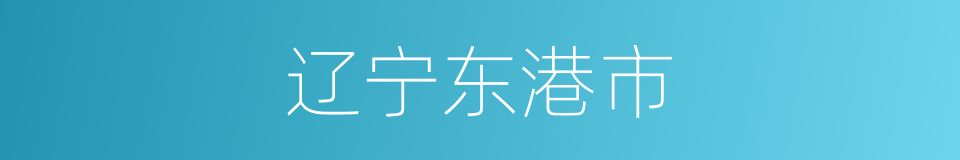 辽宁东港市的同义词
