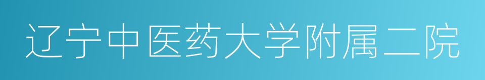 辽宁中医药大学附属二院的同义词